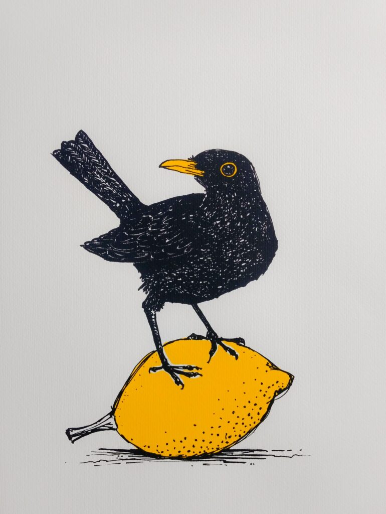 Screenprint illustration of a blackbird standing on top of a lemon.