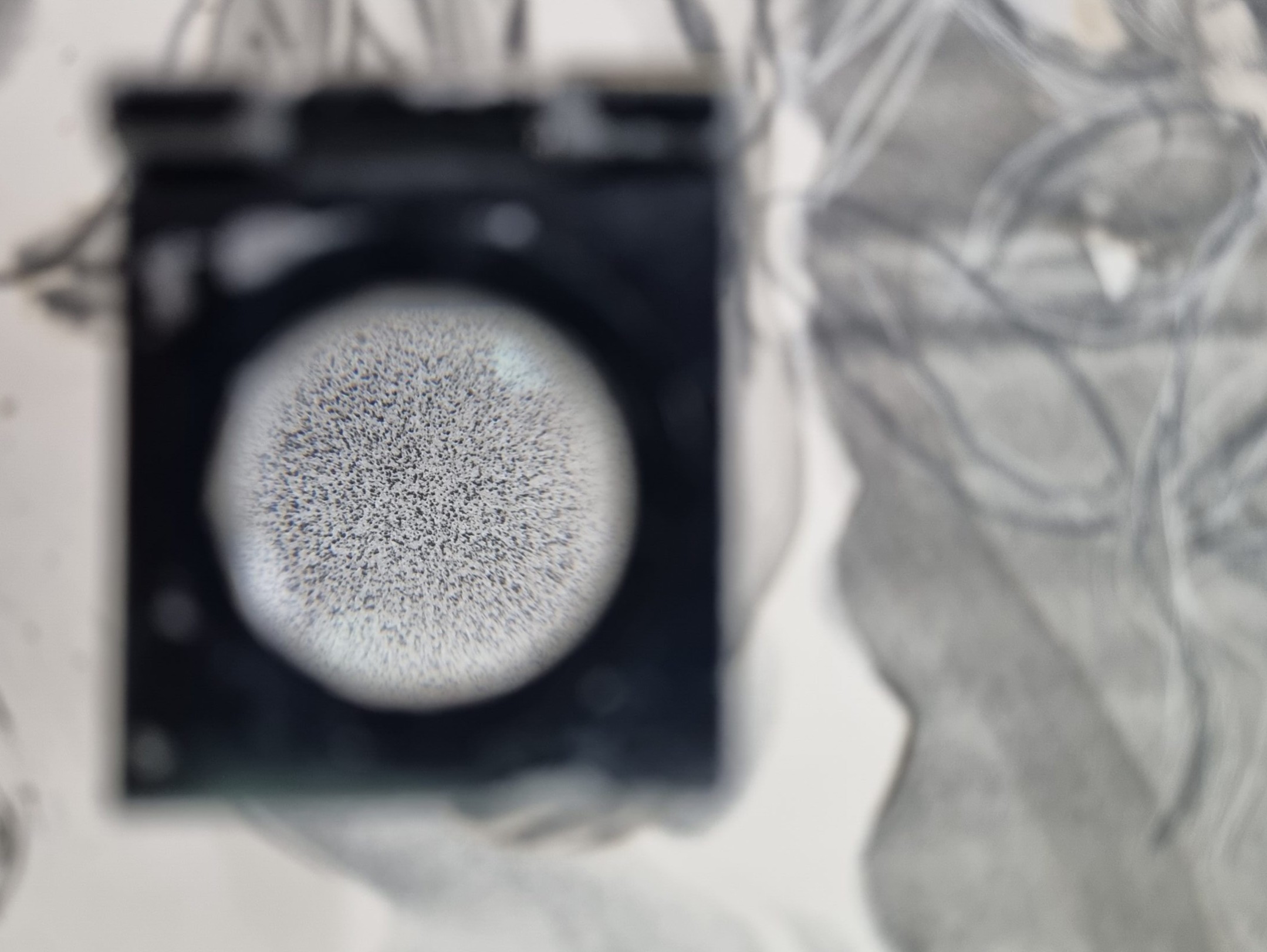 Lithography with Elena Carrasco
