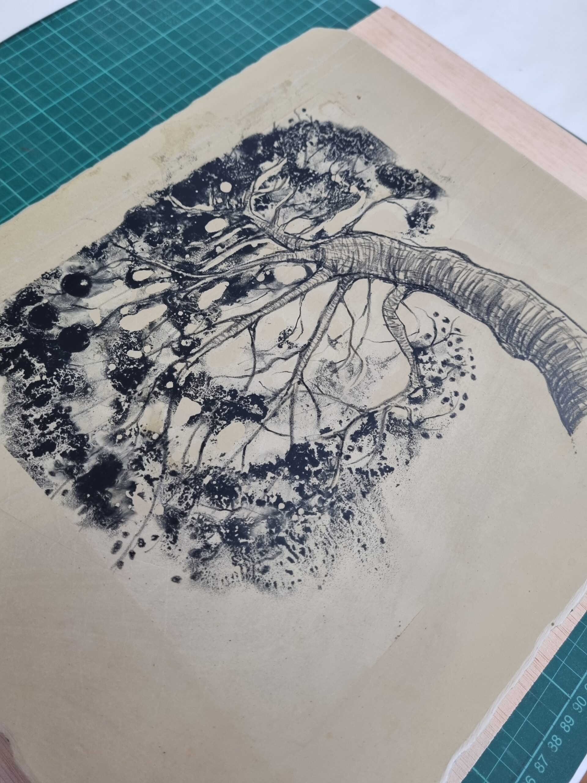 ‘El pi de Son Boter’ stone litho print